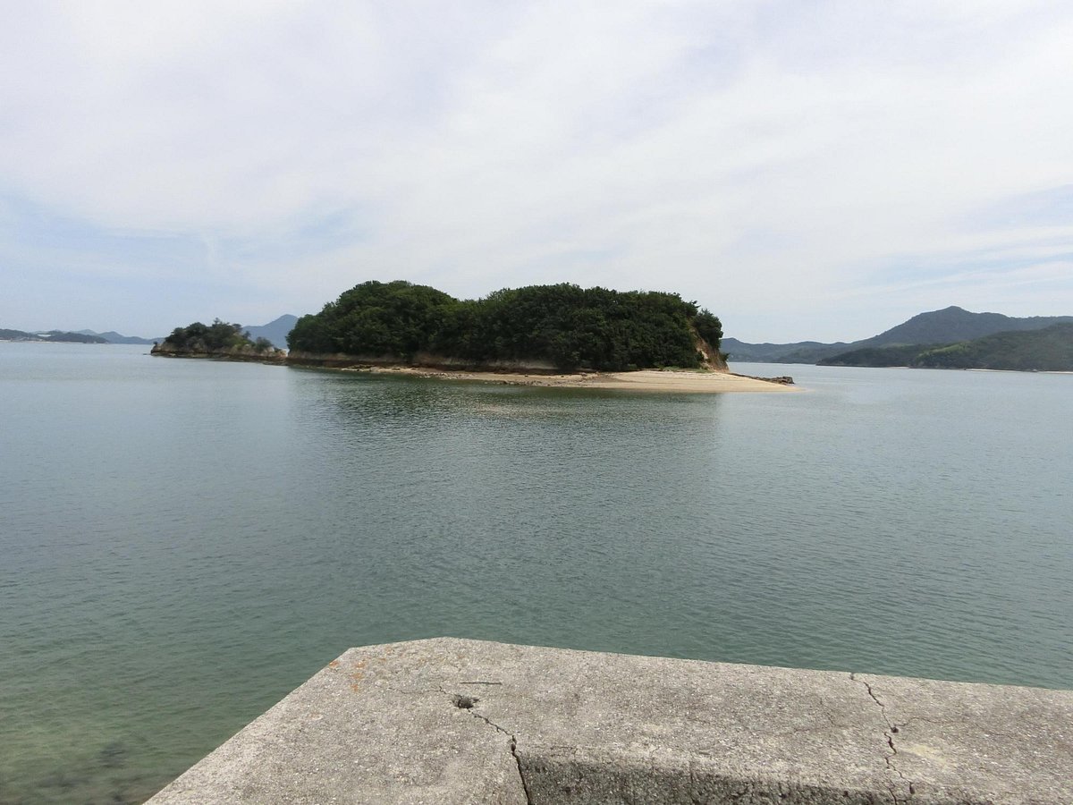 🏰 아마자키 성터(아마자키죠세키) 이미지 5